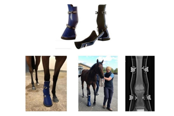 Equine support clearance boots