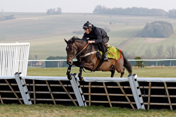 British racecourses change take-off & height markers following research backed by Racing Foundation Banner