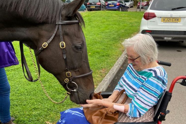 Pilot programme announced to introduce former racehorses to care home residents Banner