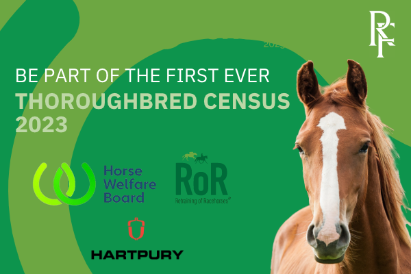 First thoroughbred census to improve traceability of former racehorses launched with funding from the Racing Foundation