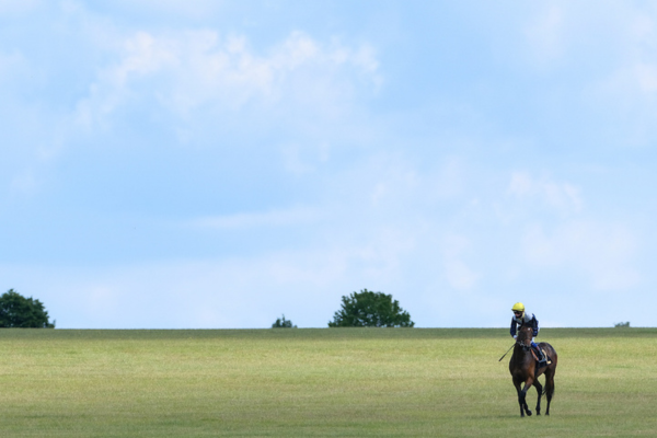 Racing Foundation funds new Jockey Club sustainability project